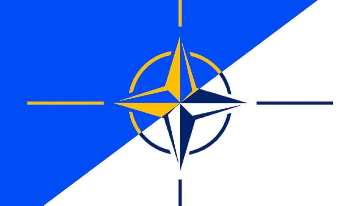 Webbinarium – Finlands och Sveriges väg in i NATO